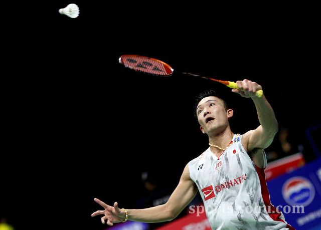 佩莱格里尼 佩莱格里尼