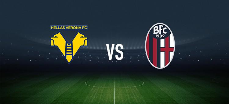 决赛在7月 决赛在7月