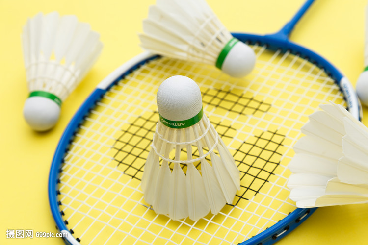 行侠湖人2 行侠湖人2